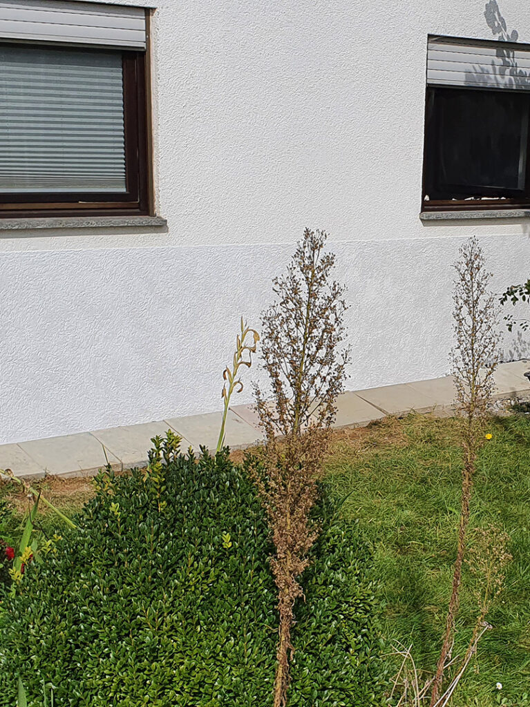 kewabo deutschland gmbh goch referenzen